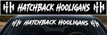 Windshield Banner w/Logo